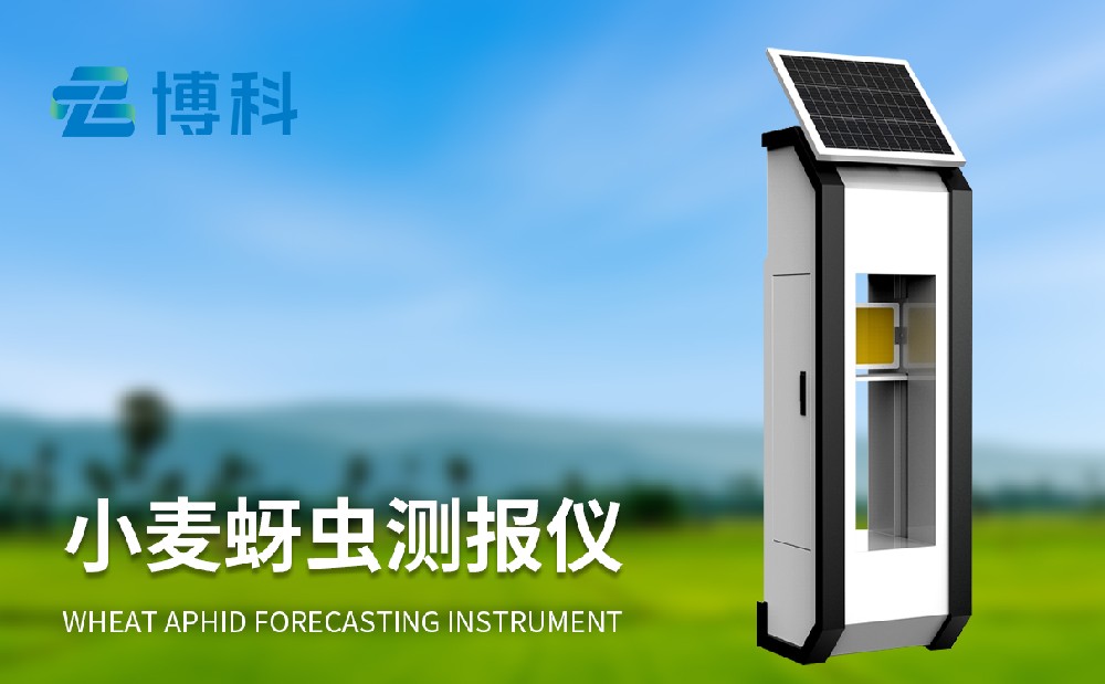 小麥蚜蟲(chóng)監(jiān)測(cè)儀提升小麥蟲(chóng)害治理能力
