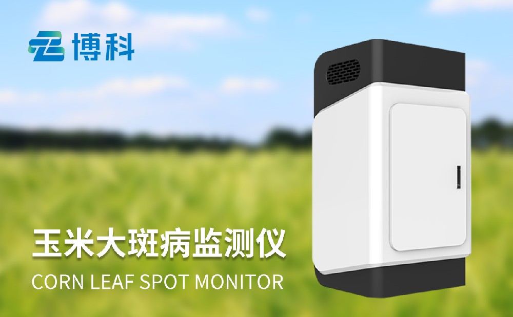 玉米大斑病在線(xiàn)監(jiān)測(cè)系統(tǒng)幫助人們做好玉米病害治理