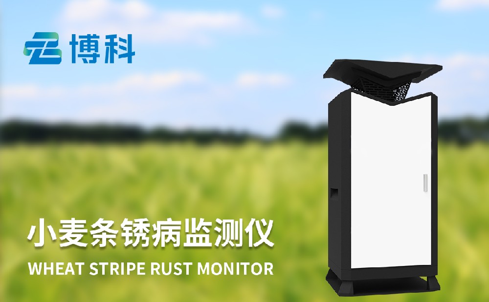小麥條銹病監(jiān)測儀精準掌握農(nóng)田條銹病發(fā)生情況