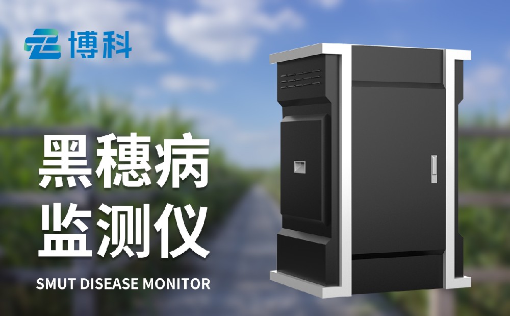 玉米黑穗病監(jiān)測儀提升玉米農田病害治理能力