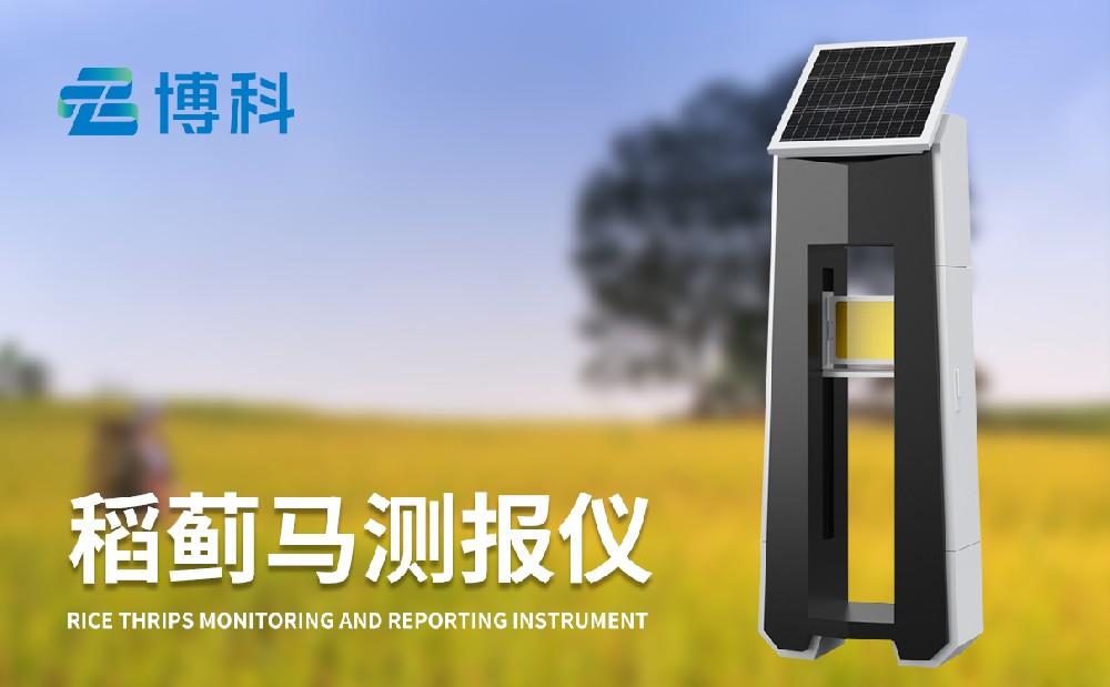 稻薊馬病監(jiān)測系統(tǒng)讓水稻病蟲害治理變得簡單